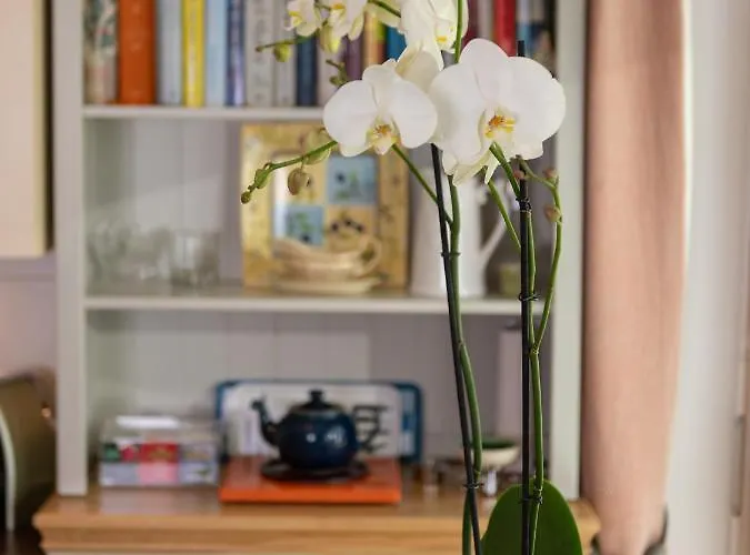 Chez Nous 체르마트